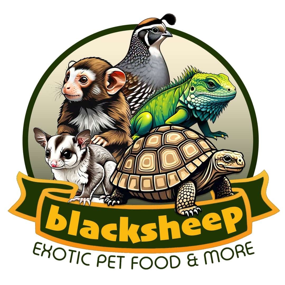 Black Sheep Logo